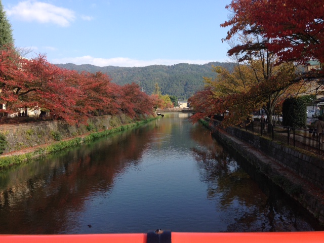 Momiji - Kyoto 2013.jpeg