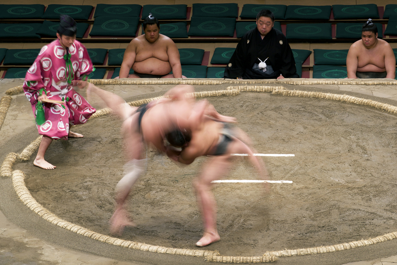 DSC2176sumo.jpg